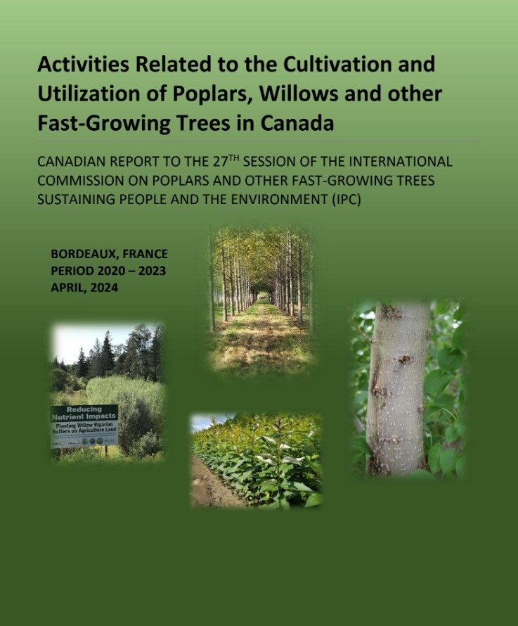 2024-ipc-report-cover