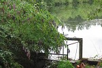 Weir at Great Blue Heron