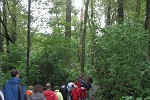 Riparian ecosystem at Great Blue Heron