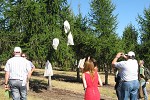 Production seed orchard at Kalamalka