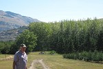 Kalamalka hybrid poplar spacing trial 