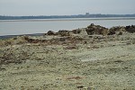 Gold mine tailings pond