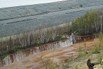 Revegetation beside tailings pond