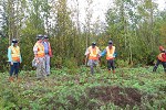 Participants at mine revegetation trial