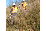 Mine rock waste revegetation on slope