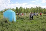 Bee home in alfalfa field