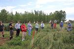 Field tour group in alfalfa