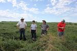 AAFC technical staff in field