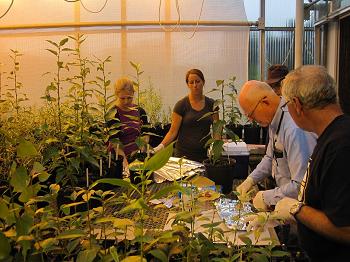 richard-pharis-in-greenhouse-at-indian-h